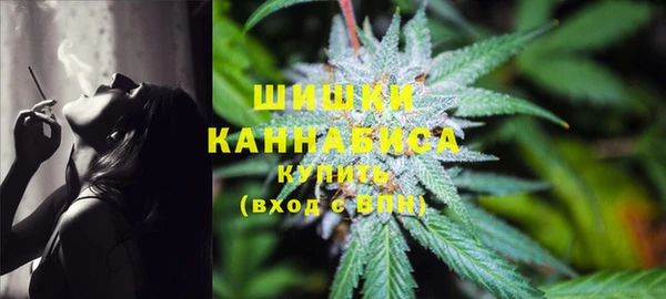 PSILOCYBIN Каменногорск