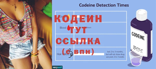 гашик Каменка