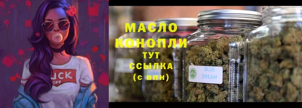 гашик Каменка