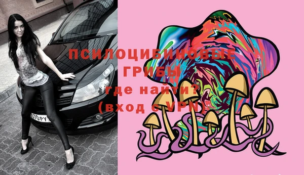 PSILOCYBIN Каменногорск