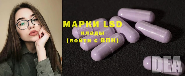 PSILOCYBIN Каменногорск