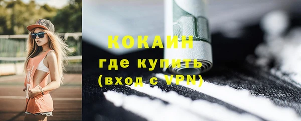 гашик Каменка