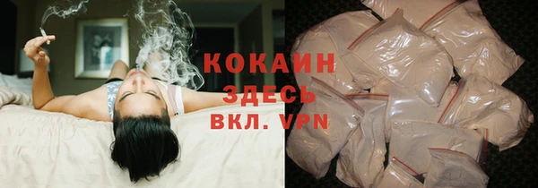 гашик Каменка