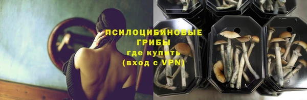 гашик Каменка
