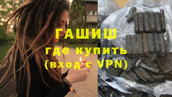 гашик Каменка