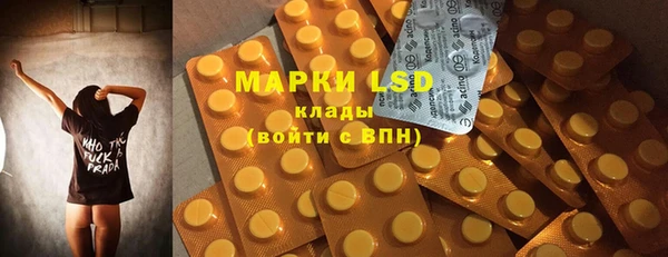 PSILOCYBIN Каменногорск