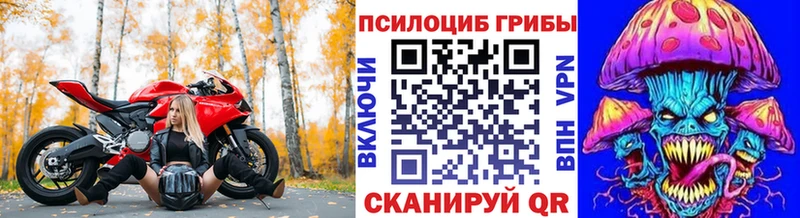 хочу   Хабаровск  Псилоцибиновые грибы мухоморы 